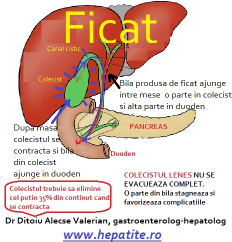 Fiere lenesa poze