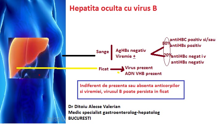 Purtator sanatos de virus b